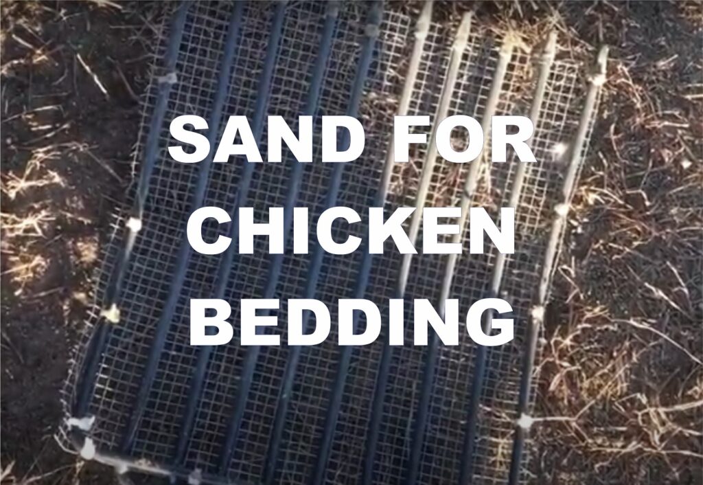 sand for chicken bedding